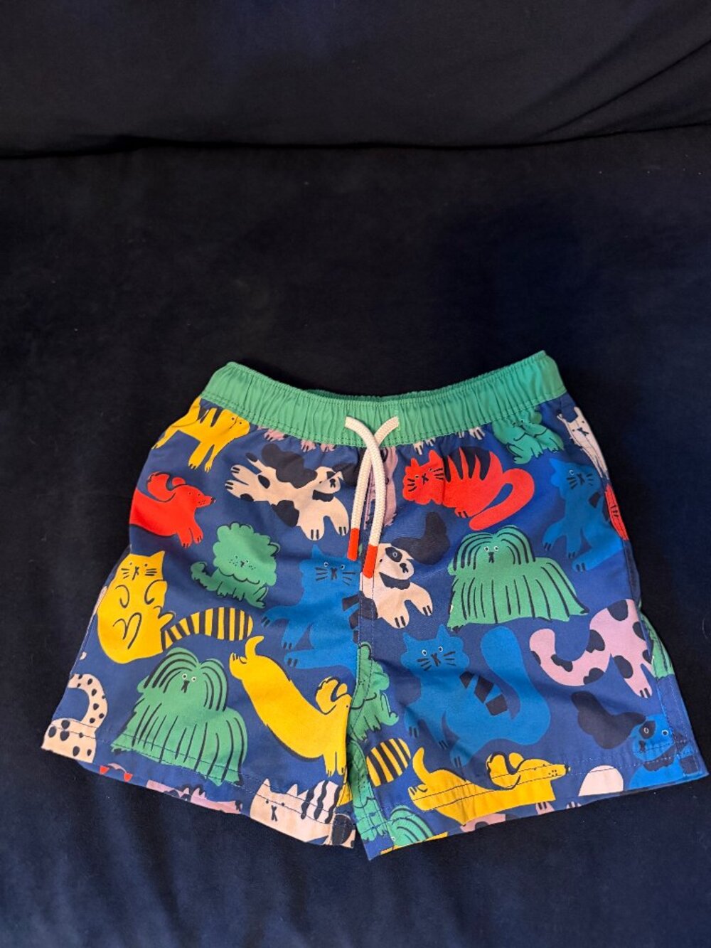 Mini Boden swim trunks - Dog print - 3-4y